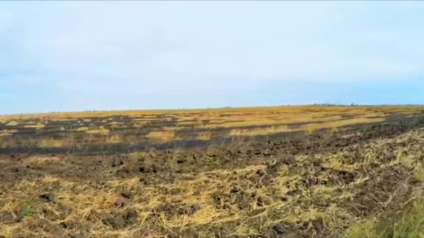Volando sobre el campo agrícola quemado en Rusia — Vídeo de stock