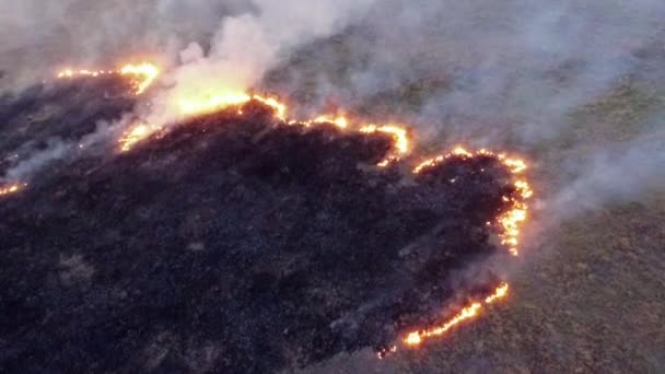VUE AÉRIENNE. Brûler l'herbe sèche dans le champ de Steppe Zone — Video