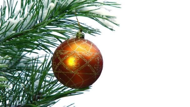 クリスマスの木の枝にゴールデン ボール — ストック動画