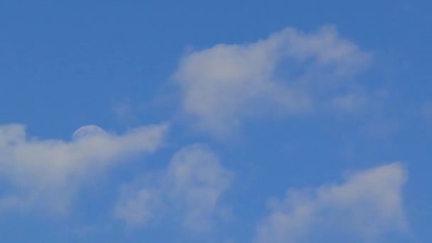 Brillante cielo azul de la mañana con media luna y nubes — Vídeo de stock