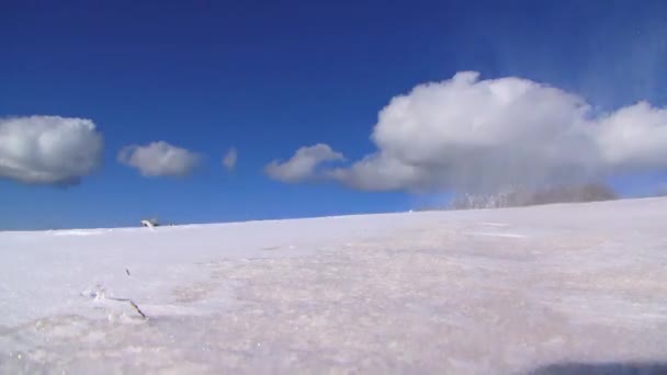 Neve che vola in aria durante la bufera di neve — Video Stock