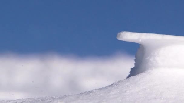 Tormenta de nieve Haciendo figuras en tierra — Vídeos de Stock
