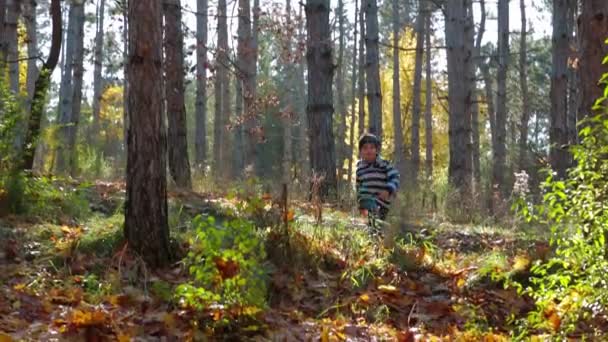 Niño feliz corriendo en el bosque otoñal — Vídeos de Stock