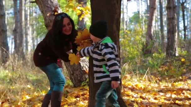 Joven madre jugando con su hijo en el parque en otoño — Vídeo de stock