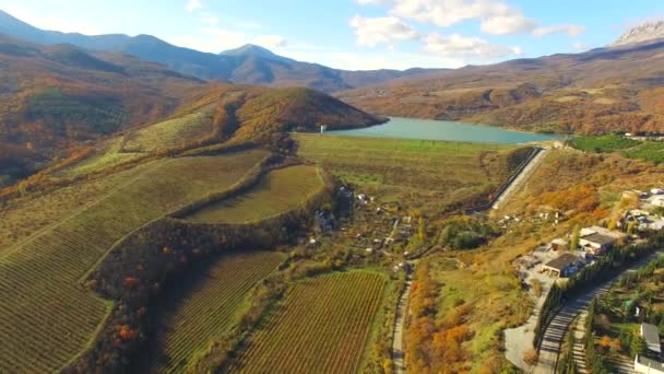 VISTA AERIAL. Terreno montañoso con campos de uva — Vídeos de Stock