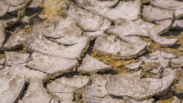 Stukken van droogte modder op de Barren vallei — Stockvideo