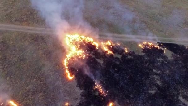 VUE AÉRIENNE. Brûler l'herbe sèche dans le champ de Steppe Zone — Video
