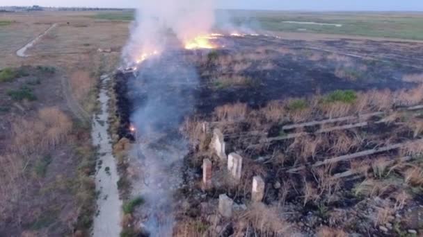 VISTA AERIAL. Hierba seca ardiendo en la estepa — Vídeos de Stock