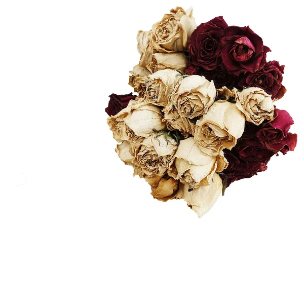 Mischung trocken Rose isoliert auf weißem Hintergrund Rose Nahaufnahme Rose weiße Rose Romantik Rose Schönheit Rose isoliert Rose Valentinstag — Stockfoto