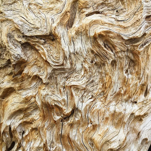 천연목 재로만든 오래 된 나무토막 질감 — 스톡 사진