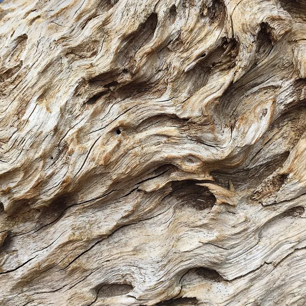 Древесина из древесины дерева — стоковое фото