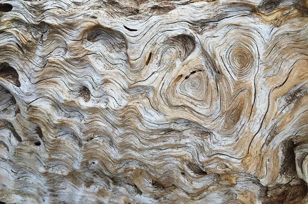 Madeira velha pele madeira textura madeira Natural madeira fundo natural — Fotografia de Stock