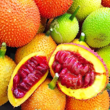 GAC meyve üzerinde Gac, Bebek nefesi, dikenli Bitter kabak, tatlı zemin Cochinchin Goud tipik bir turuncu renkli gıdalar Asya, taze kırmızı gac meyve bitki. GAC meyve bitki güzellik cilt organik için,