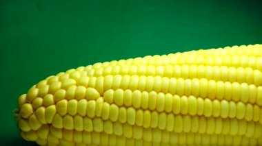 4K Macro View Sarı Taneler Mısır Koçanı Arka plan Organik Yiyecekler Yakın plan. Koçanda Taze Mısır, Organik Yiyeceğe Hazırlık. Mısır Tohumları Doku, Tarım Sağlıklı Doğal Beslenme.