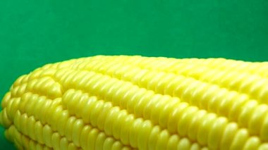 4K Macro View Sarı Taneler Mısır Koçanı Arka plan Organik Yiyecekler Yakın plan. Koçanda Taze Mısır, Organik Yiyeceğe Hazırlık. Mısır Tohumları Doku, Tarım Sağlıklı Doğal Beslenme.