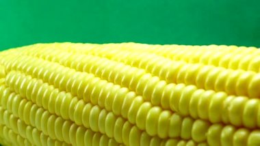 4K Macro View Sarı Taneler Mısır Koçanı Arka plan Organik Yiyecekler Yakın plan. Koçanda Taze Mısır, Organik Yiyeceğe Hazırlık. Mısır Tohumları Doku, Tarım Sağlıklı Doğal Beslenme.