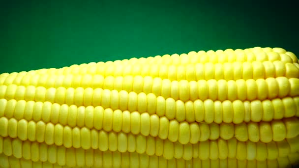 Macro View Grãos Amarelos Milho Cob Fundo Alimentos Orgânicos Close — Vídeo de Stock