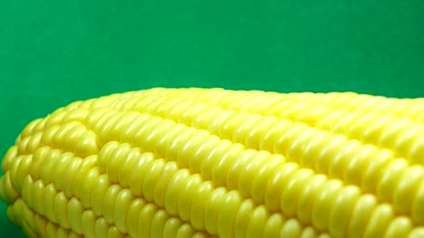 Macro View Yellow Grains Corn Cob Bakgrund Mat Ekologisk Närbild — Stockvideo