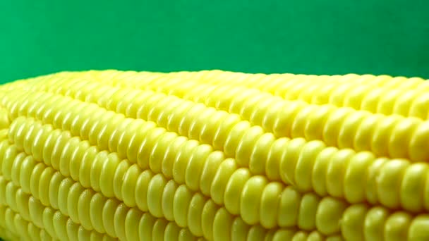 Macro View Yellow Grains Maïskolf Achtergrond Food Organic Close Closeup — Stockvideo