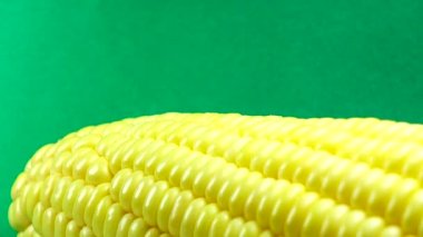 4K Macro View Sarı Taneler Mısır Koçanı Arka plan Organik Yiyecekler Yakın plan. Koçanda Taze Mısır, Organik Yiyeceğe Hazırlık. Mısır Tohumları Doku, Tarım Sağlıklı Doğal Beslenme.