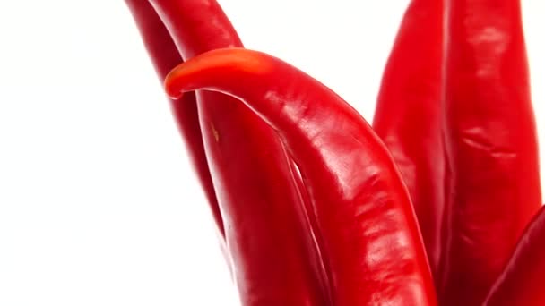 Bio Paprika Rote Chilischoten Nahaufnahme Rotierend Isoliert Auf Weißem Hintergrund — Stockvideo