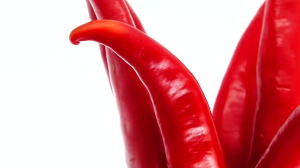 Biologische Rode Peper Rode Chili Paprika Close Roteren Geïsoleerd Witte — Stockvideo