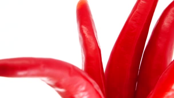 Bio Paprika Rote Chilischoten Nahaufnahme Rotierend Isoliert Auf Weißem Hintergrund — Stockvideo