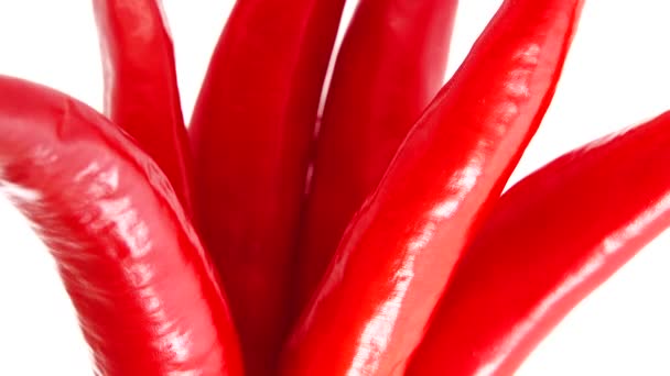 Bio Paprika Rote Chilischoten Nahaufnahme Rotierend Isoliert Auf Weißem Hintergrund — Stockvideo