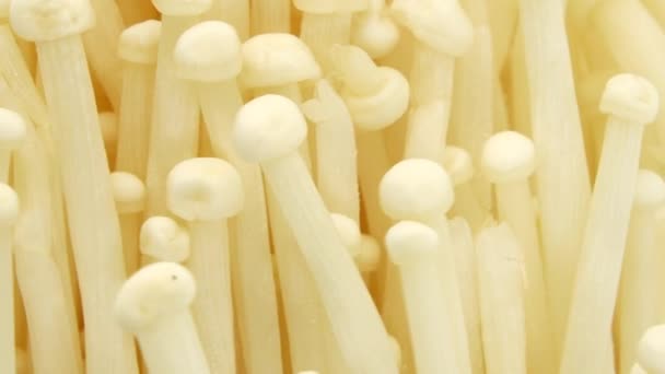 Organic Enoki Mushroom Closeup Food Shot Closeup Rotating Isolated White — Stock Video