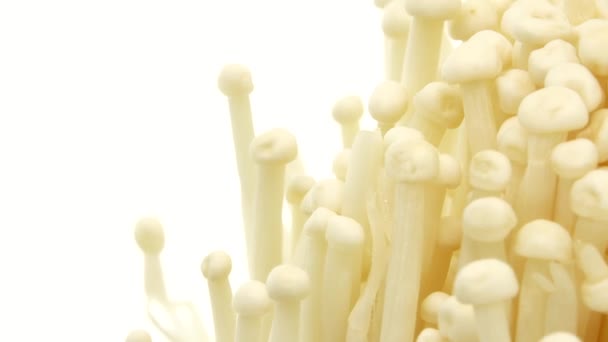 用白色背景4K相机隔离的有机木耳蘑菇特写食品特写旋转特写 — 图库视频影像