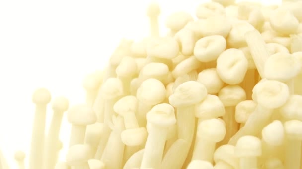 Organic Enoki Mushroom Closeup Food Shot Closeup Rotating Isolated White — Stock Video