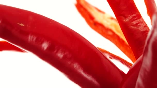 Bio Paprika Rote Chilischoten Nahaufnahme Rotierend Isoliert Auf Weißem Hintergrund — Stockvideo