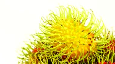 4K kırmızı freen renginde rambutan meyveler ve soyulmuş bir rambutan. Pikapta dönen beyaz arka planda izole edilmiş. Kapatın. Makro