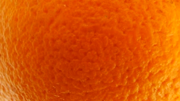 Macro Shot Frutta Arancione Ombelico Ruotare Primo Piano Agrumi Freschi — Video Stock