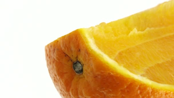 Macro Shot Van Navel Oranje Fruit Rotate Close Verse Citrus — Stockvideo