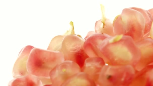 Biologisch Gezond Rood Fruit Close Open Granaatappel Fruit Draait Een — Stockvideo