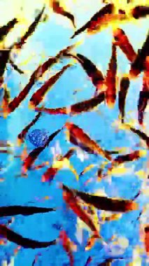 Canlı küçük balıklar dinamik bir şekilde berrak suda yüzüyor, parlak sarı ve mavi tonlarla soyut bir hareket bulanıklığı yaratıyor, yaşamı ve enerjiyi sembolize ediyor..