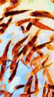 Canlı küçük balıklar dinamik bir şekilde berrak suda yüzüyor, parlak sarı ve mavi tonlarla soyut bir hareket bulanıklığı yaratıyor, yaşamı ve enerjiyi sembolize ediyor..