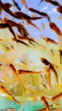 Canlı küçük balıklar dinamik bir şekilde berrak suda yüzüyor, parlak sarı ve mavi tonlarla soyut bir hareket bulanıklığı yaratıyor, yaşamı ve enerjiyi sembolize ediyor..