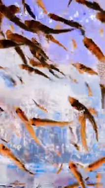 Canlı küçük balıklar dinamik bir şekilde berrak suda yüzüyor, parlak sarı ve mavi tonlarla soyut bir hareket bulanıklığı yaratıyor, yaşamı ve enerjiyi sembolize ediyor..