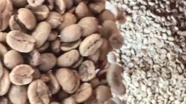  Kahve çekirdeğinin üzerine yakın plan çiğ yeşil Arabika kahve çekirdekleri, kahve üretiminin doğal dokusunu ve organik kalitesini gösteriyor..