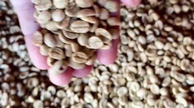  Kahve çekirdeğinin üzerine yakın plan çiğ yeşil Arabika kahve çekirdekleri, kahve üretiminin doğal dokusunu ve organik kalitesini gösteriyor..