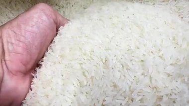 Tayland yasemin beyaz pirinç taneciklerini yakın plan çekerek, dokuyu, saflığı ve doğal detayları, yiyecek, tarım, gıda kavramları için uygun.