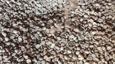 Detailed macro shot of raw dried coffee beans showing natural textures and earthy tones, ideal for backgrounds, agriculture, or coffee industry concepts