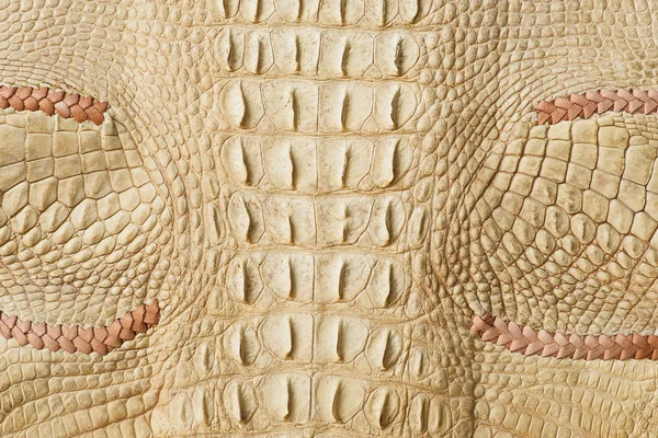 Texture de peau de crocodile doré — Photo