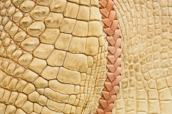 Textura da pele de crocodilo dourado — Fotografia de Stock