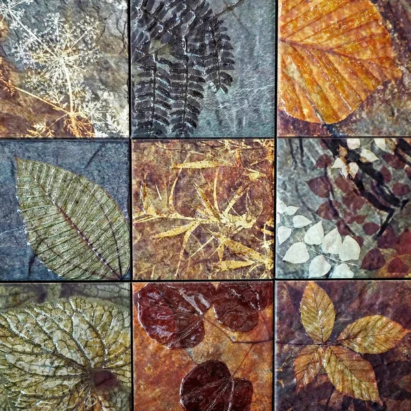 Old wall ceramic tiles patterns handcraft from thailand public. — Stock Photo, Image