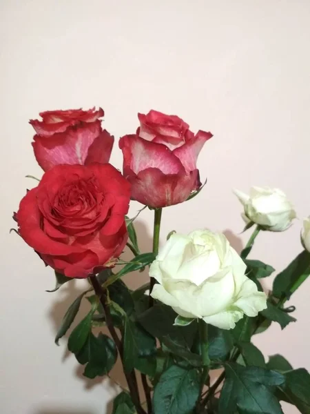 Bouquet Fleurs Une Composition Roses Multicolores Contexte Carte Postale — Photo