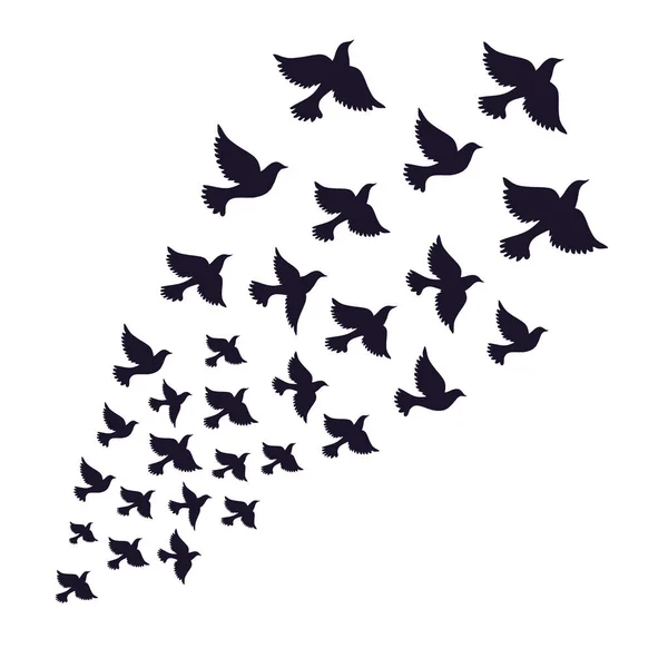 Een Zwerm Vogels Die Wegvliegen Vrijheidssymbool Vector Illustratie Een Transparante — Stockvector
