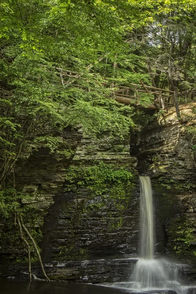 Rådjur hoppa falls, pennsylvania — Stockfoto